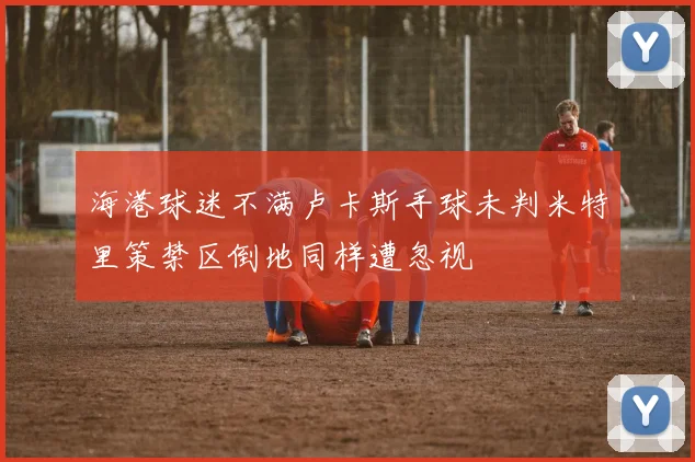 海港球迷不满卢卡斯手球未判米特里策禁区倒地同样遭忽视