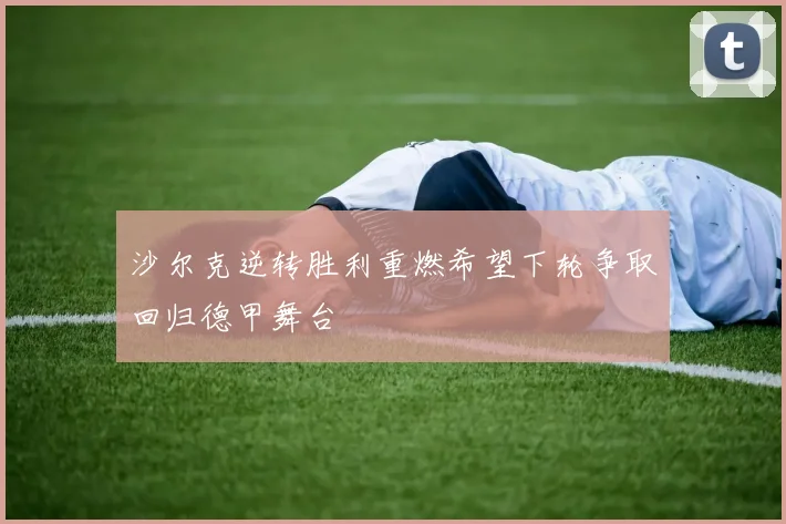 沙尔克逆转胜利重燃希望下轮争取回归德甲舞台
